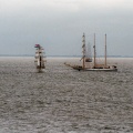 Verschillende zeilschepen van  De Helder Sail op de rede van Texel.