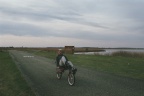 Ligfietsen door het Lauwersmeergebied